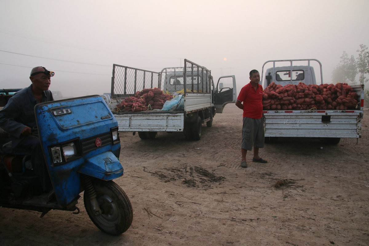 瓜菜交易市场纪实