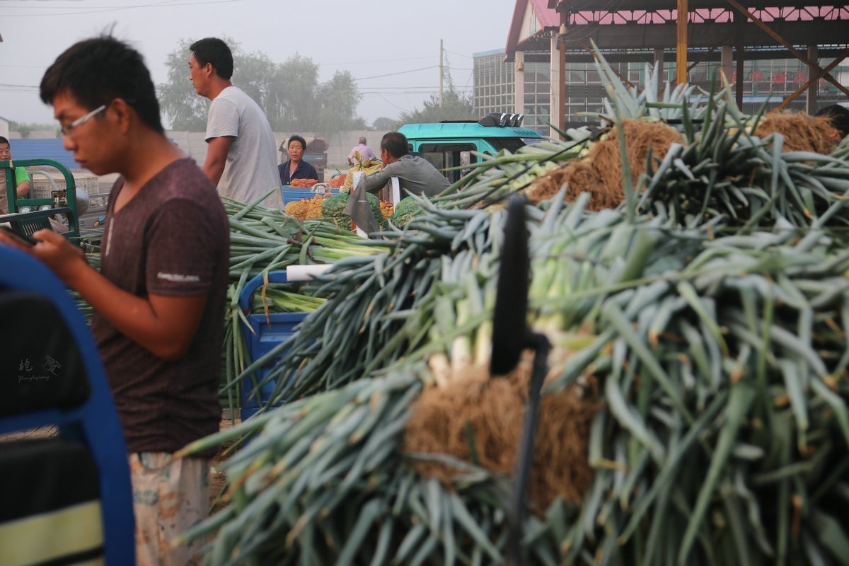 瓜菜交易市场纪实