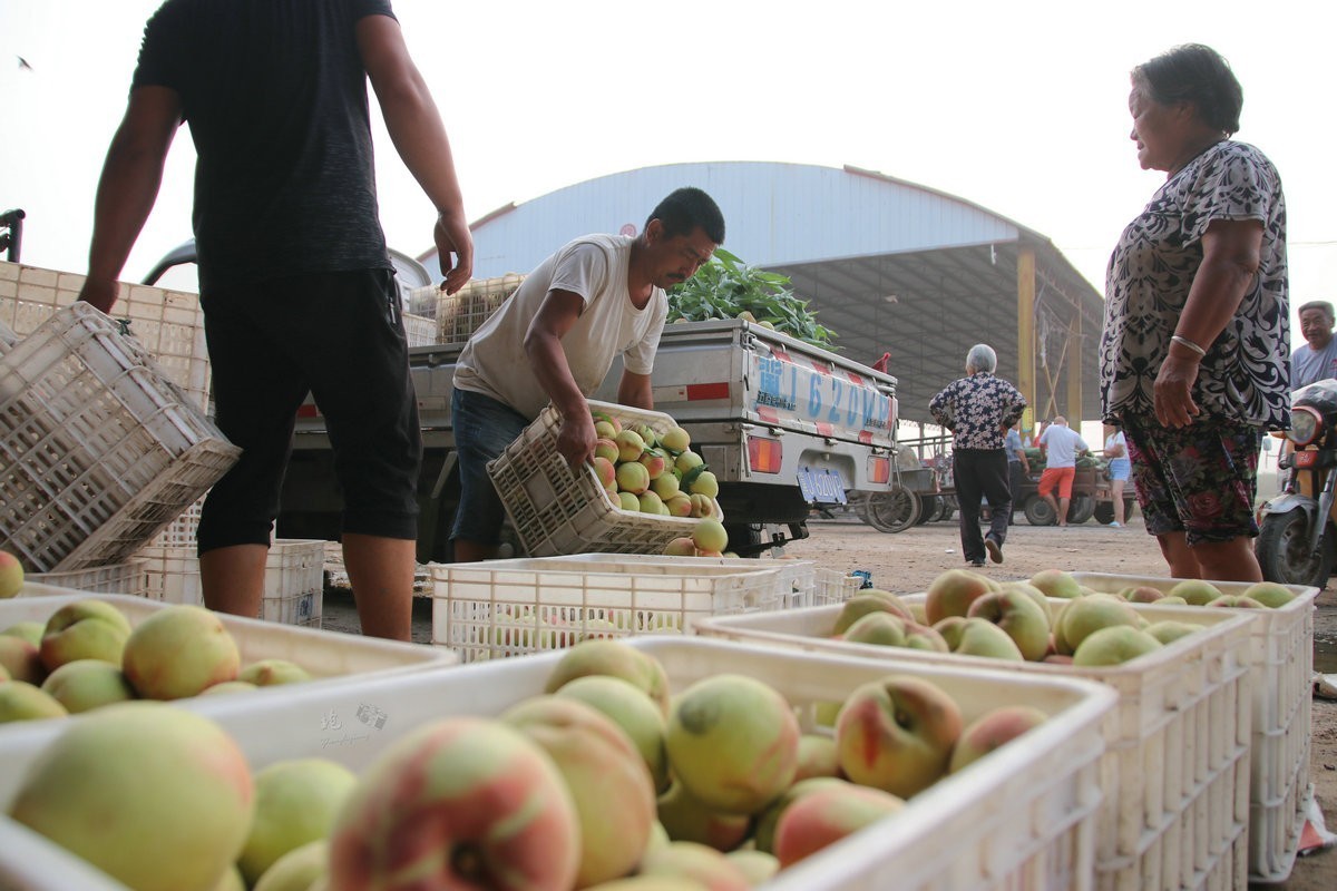 瓜菜交易市场纪实