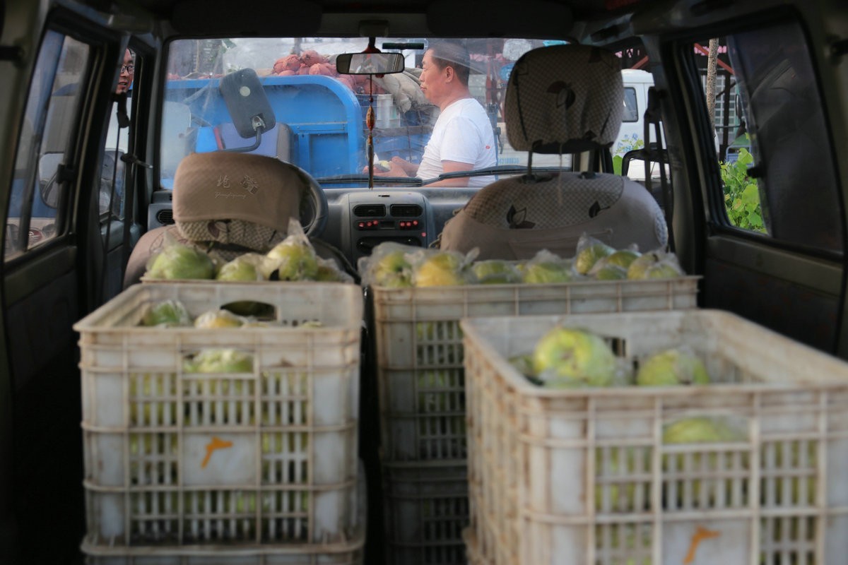 瓜菜交易市场纪实
