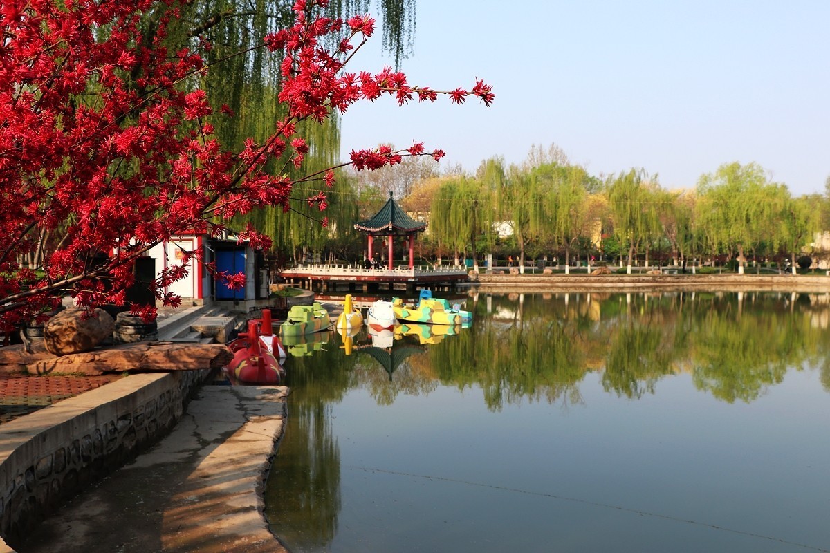 春和景明----再拍梅花公园（10P)