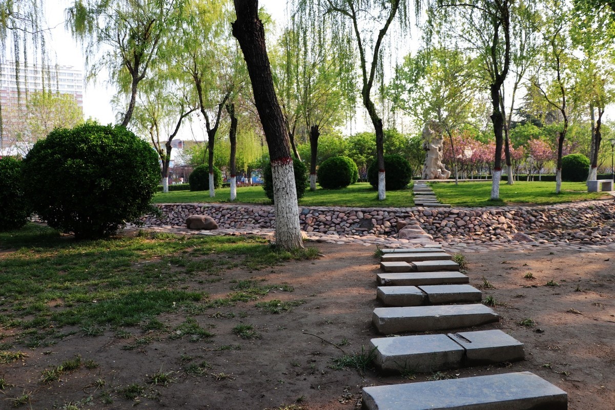 春和景明----再拍梅花公园（10P)