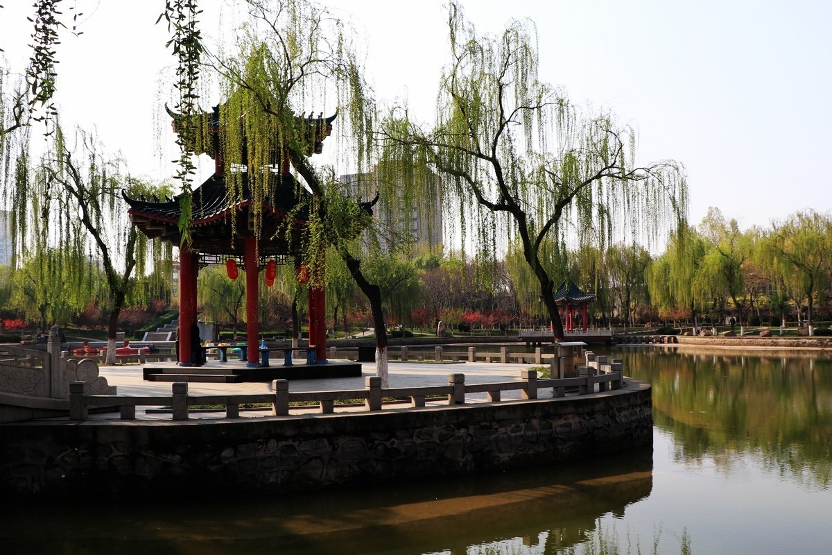 春和景明----再拍梅花公园（10P)