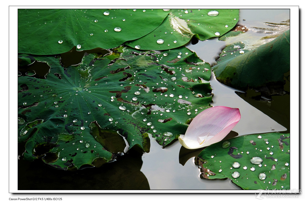 G12周六日随拍练习作业。