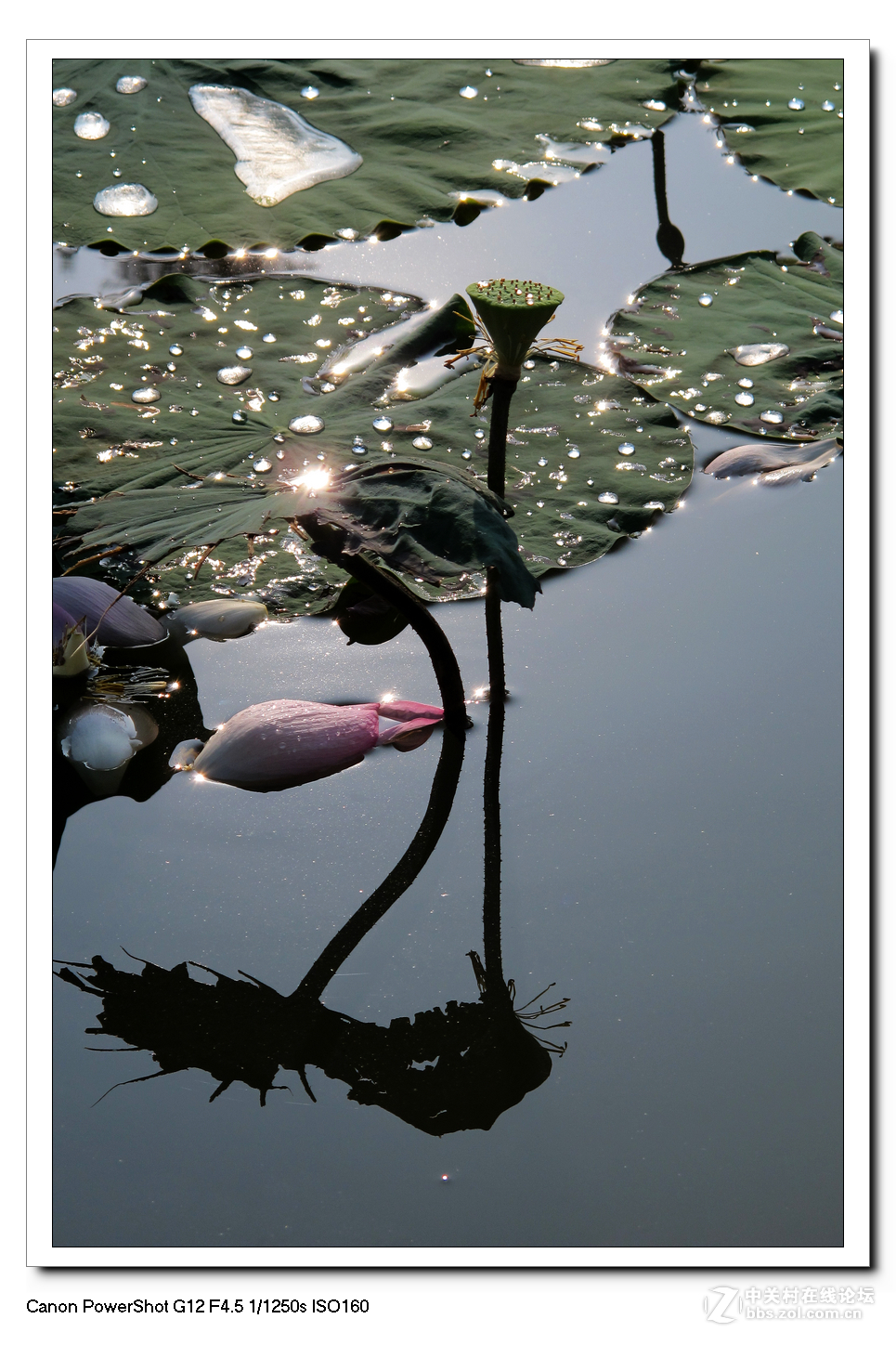 G12周六日随拍练习作业。