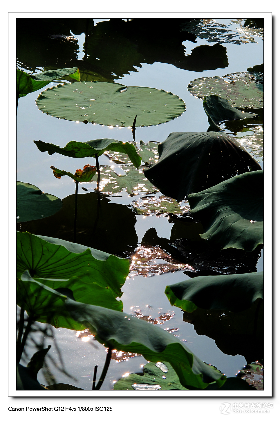 G12周六日随拍练习作业。