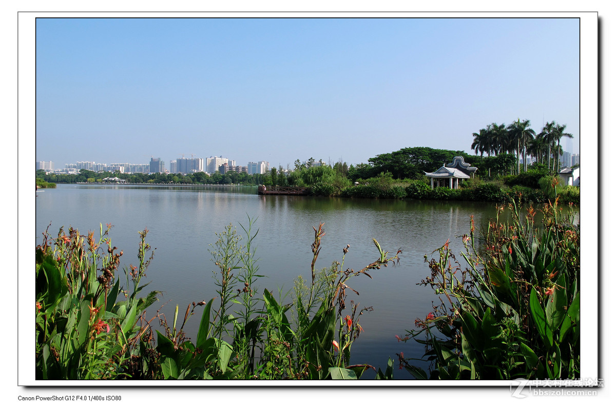 G12周六日随拍练习作业。