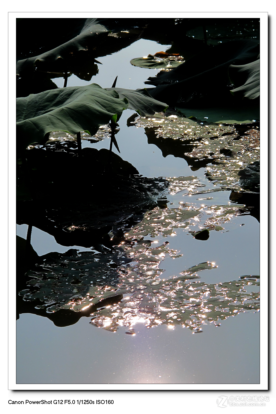 G12周六日随拍练习作业。