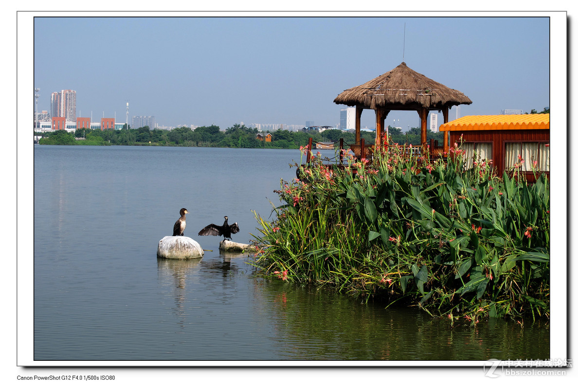 G12周六日随拍练习作业。