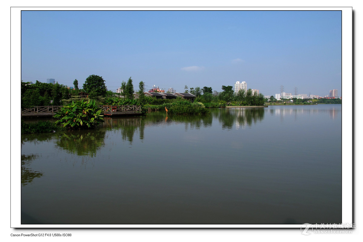 G12周六日随拍练习作业。