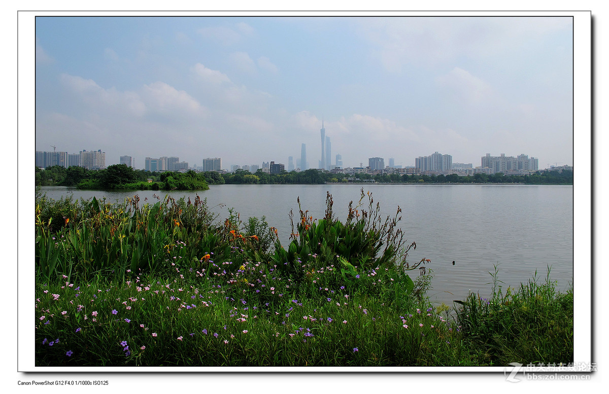 G12周六日随拍练习作业。