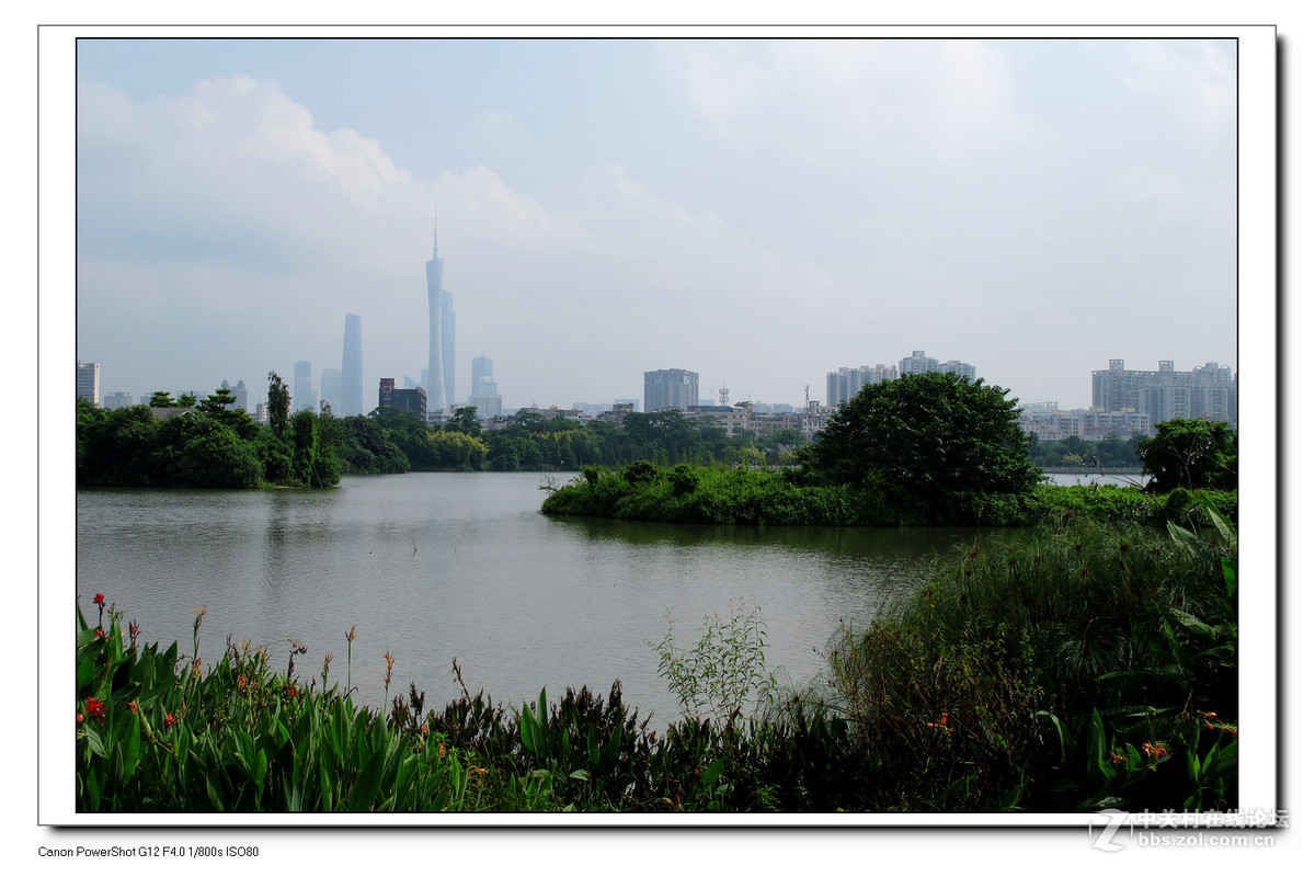 G12周六日随拍练习作业。