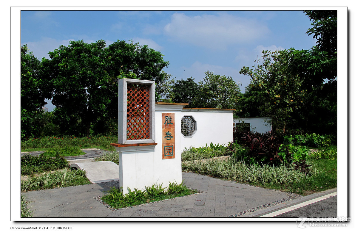 G12周六日随拍练习作业。