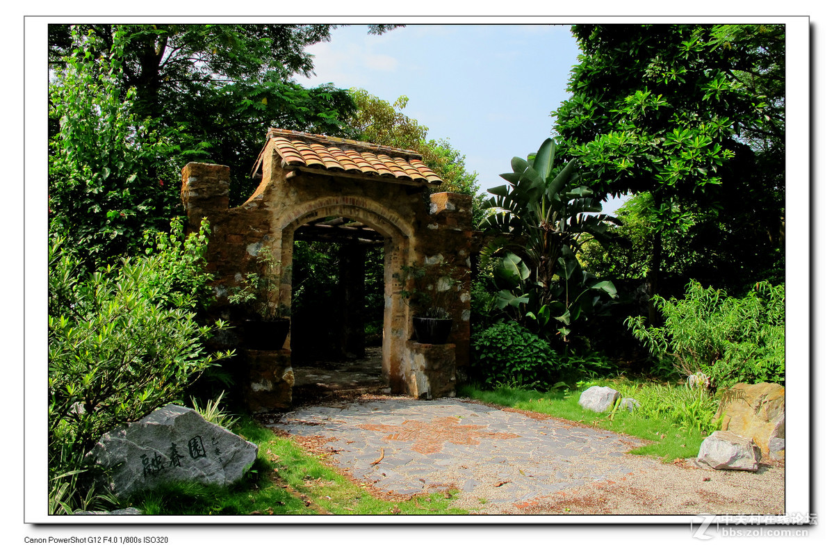 G12周六日随拍练习作业。