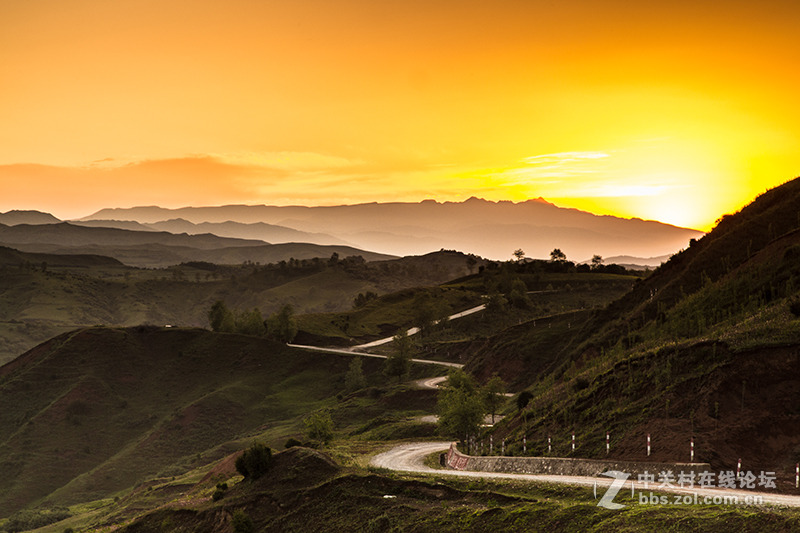 临夏体育健儿勇夺全省青少年田径锦标赛多项冠军展现强劲实力