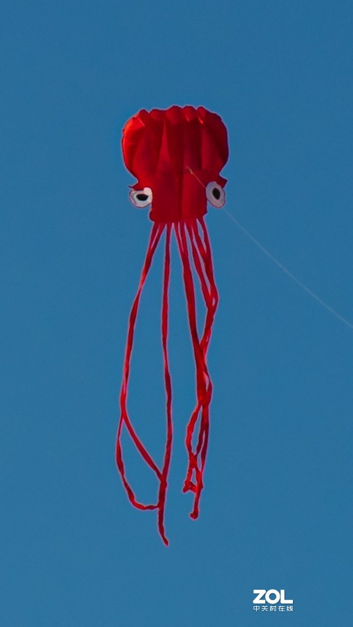 颐和园打风筝！