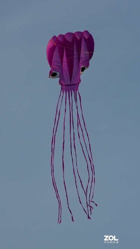 颐和园打风筝！