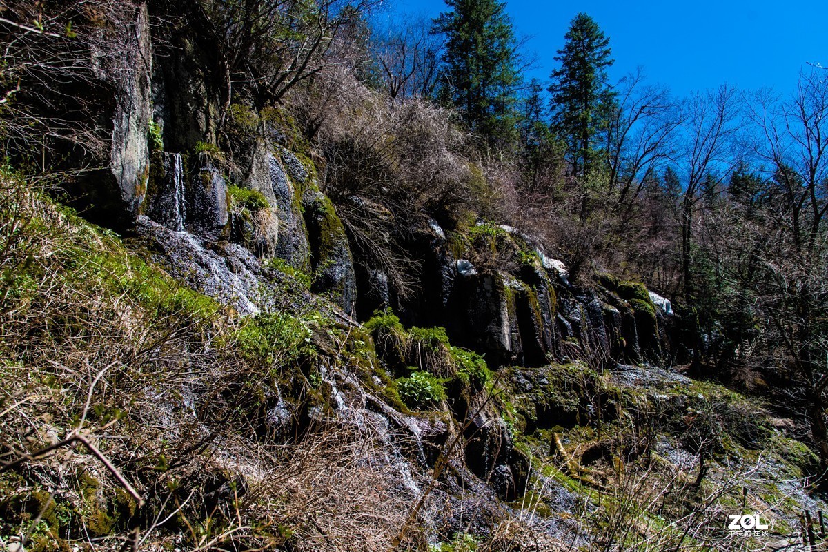 【镜头里】第808号：鸭绿江畔的十五道沟望天鹅景区（六）