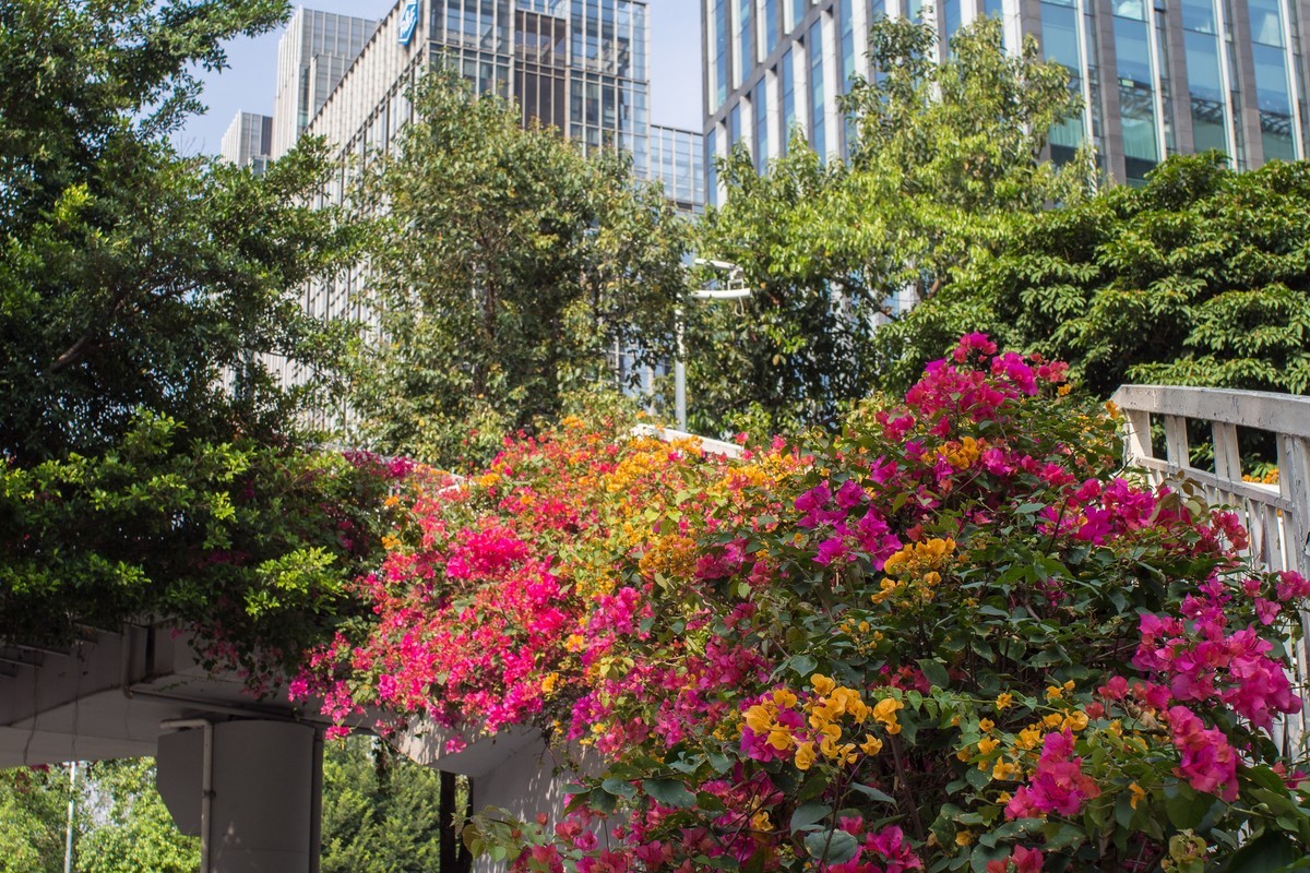 听说5M以下的原图不压缩了，发图贺一下！