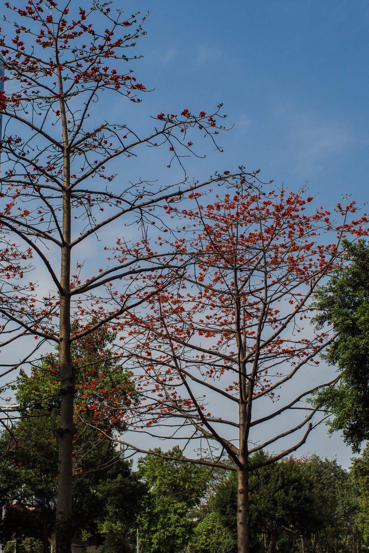 听说5M以下的原图不压缩了，发图贺一下！