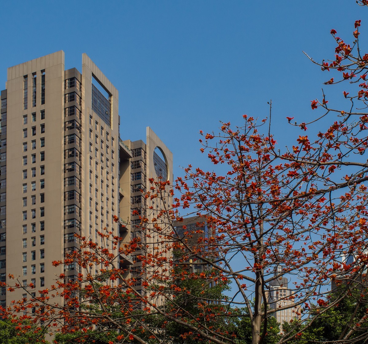 听说5M以下的原图不压缩了，发图贺一下！