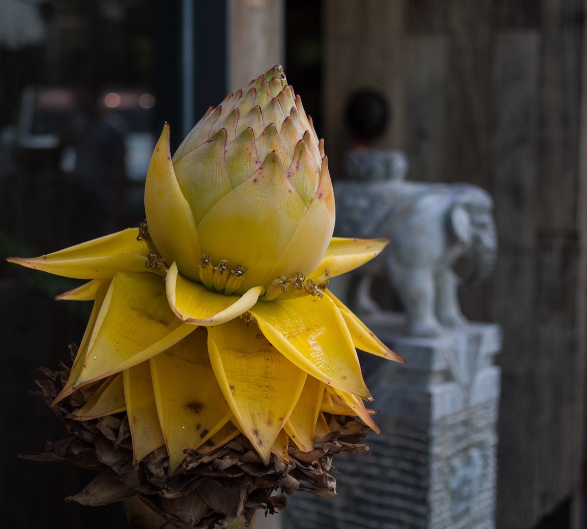 听说5M以下的原图不压缩了，发图贺一下！