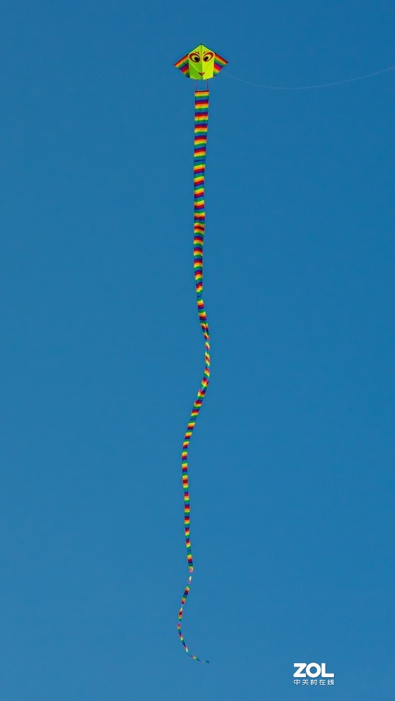 颐和园打风筝！