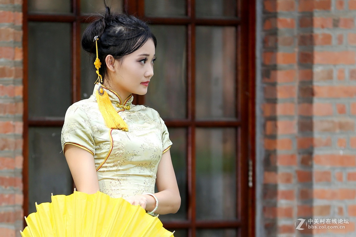 窈窕淑女--君子好逑