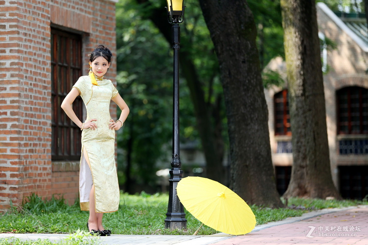 窈窕淑女--君子好逑