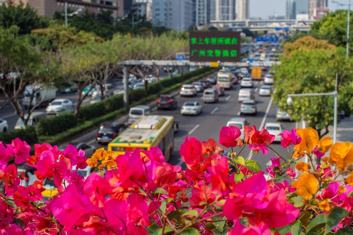 听说5M以下的原图不压缩了，发图贺一下！