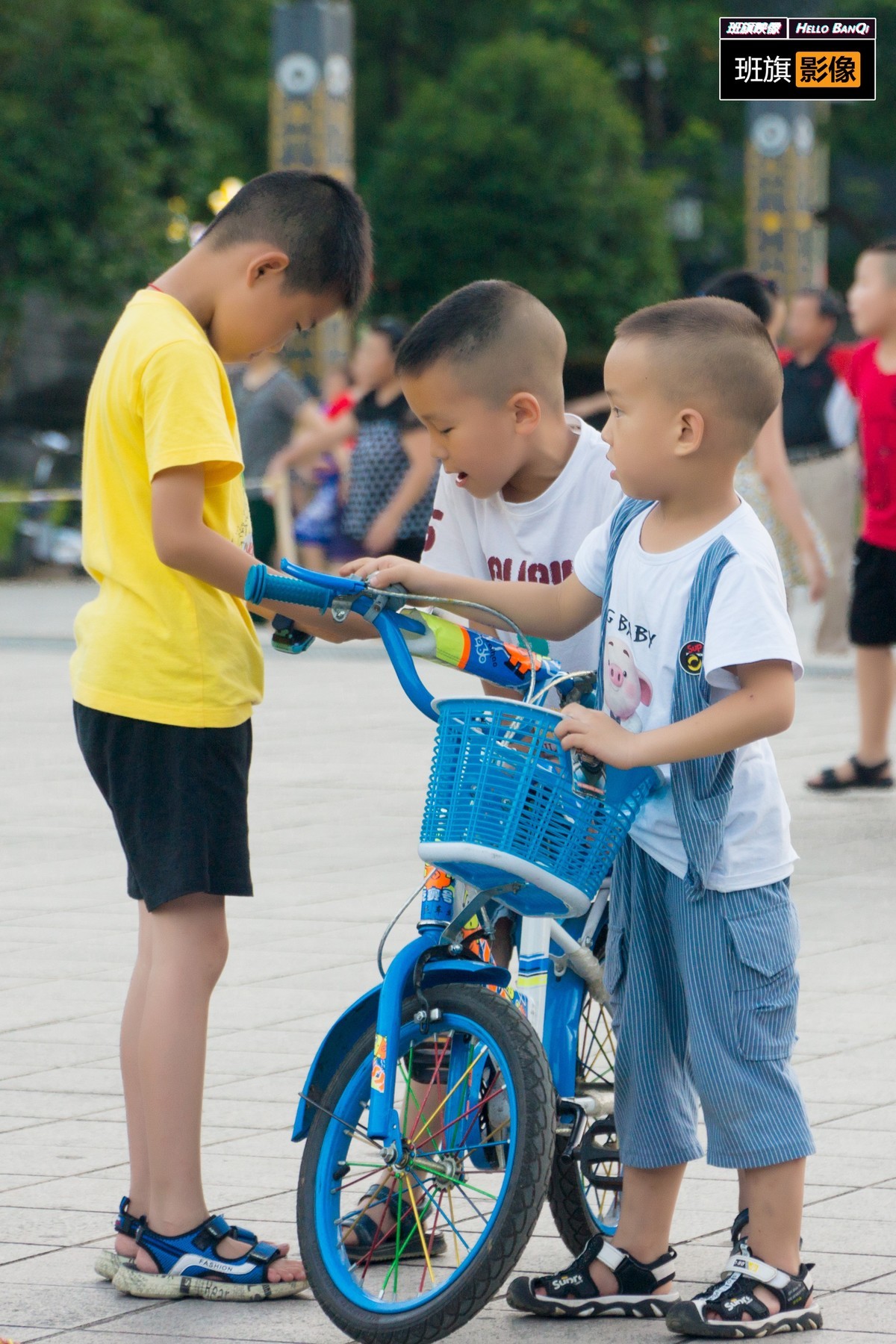 刚来发的照片看不见 再来一次