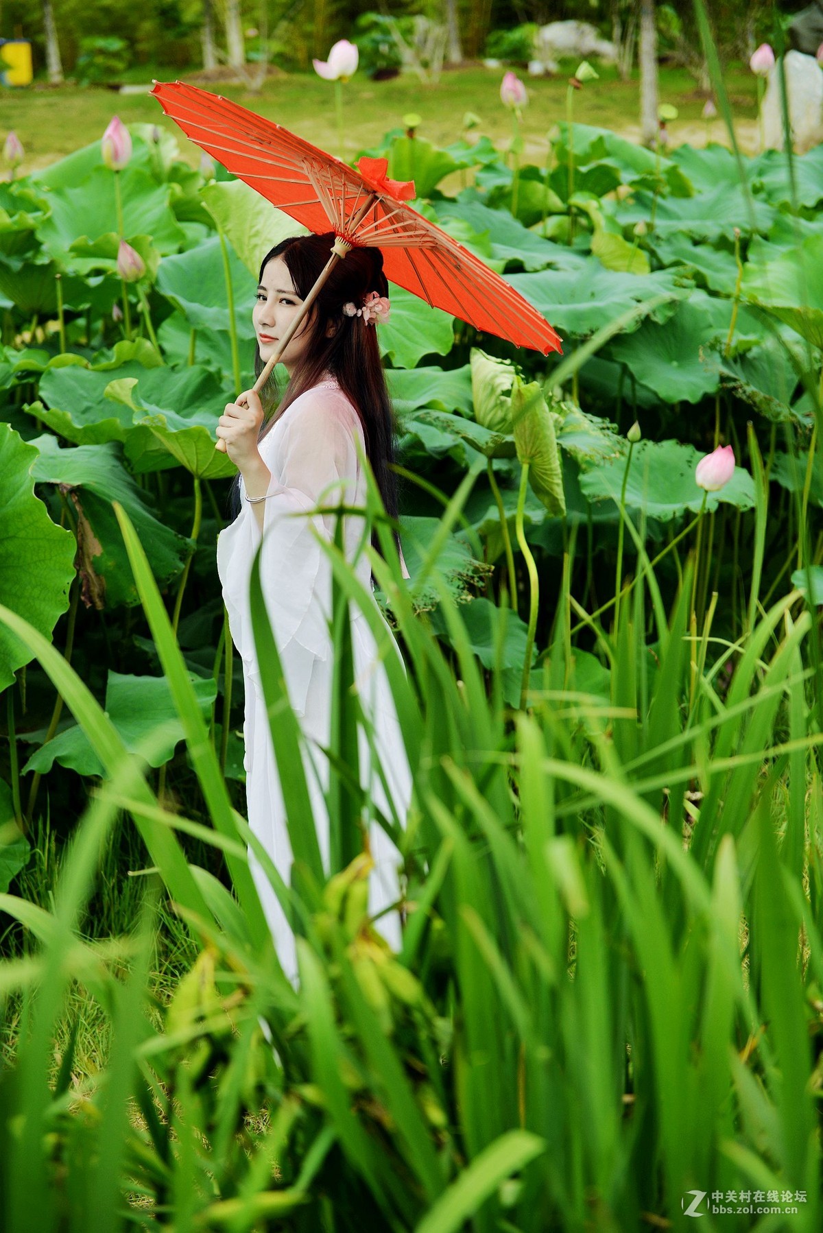 创作古装片荷花仙女