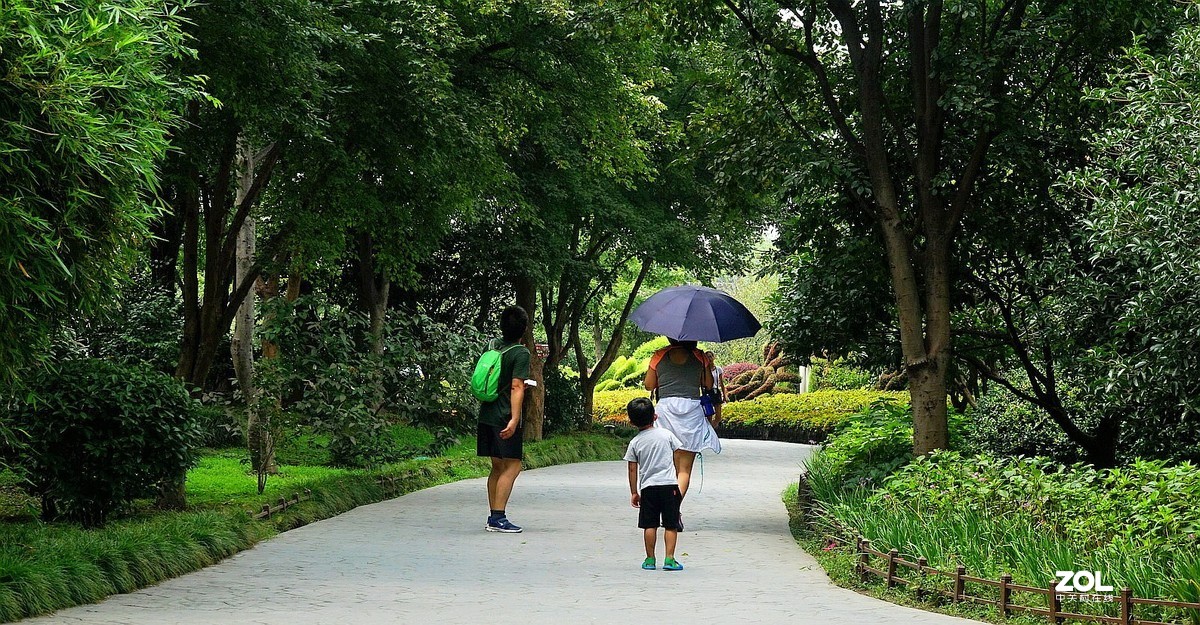 旅游---扬州瘦西湖《10》