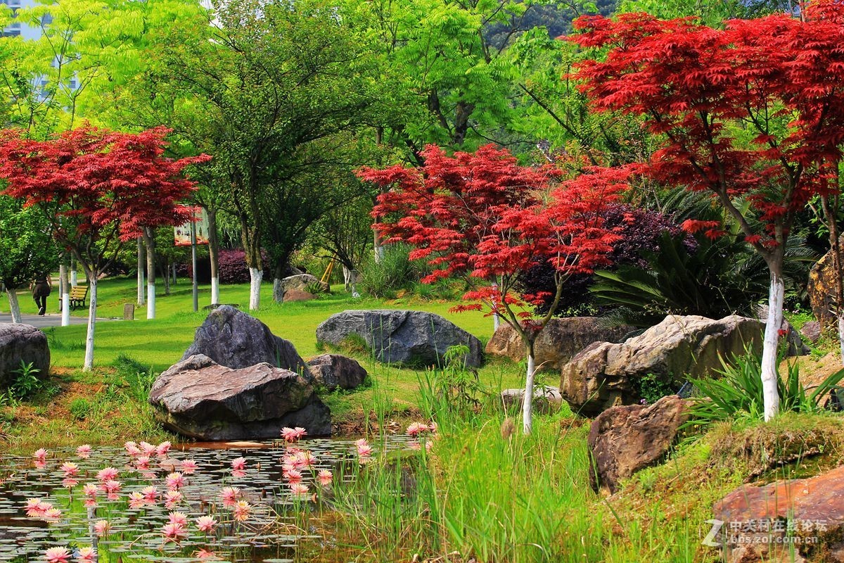 公园美景