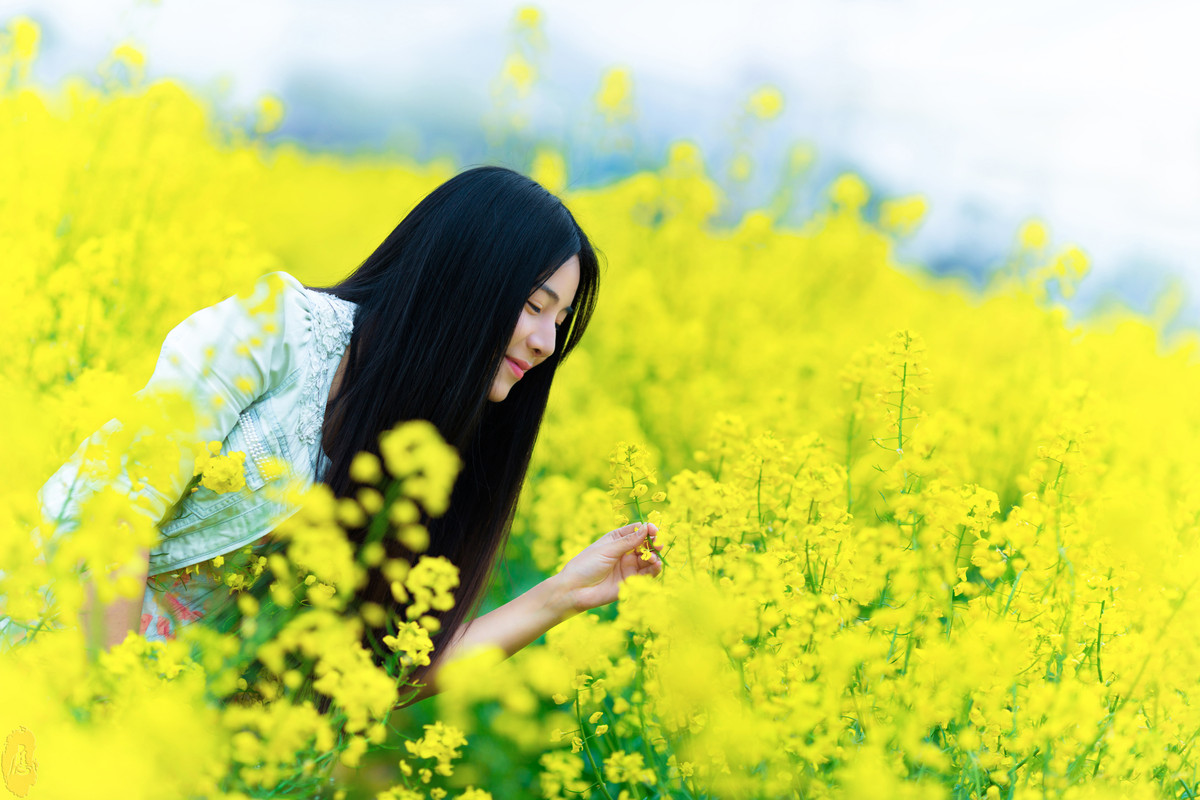 {Eric出品}油菜花田  人像