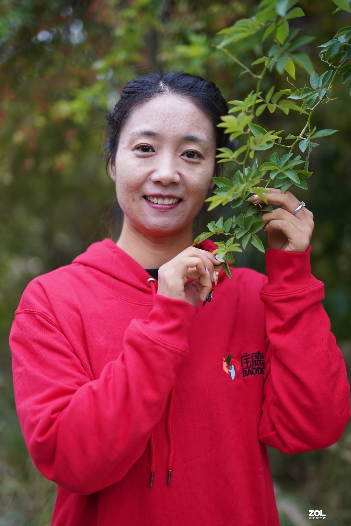 秋天早晨的遐思--2019年