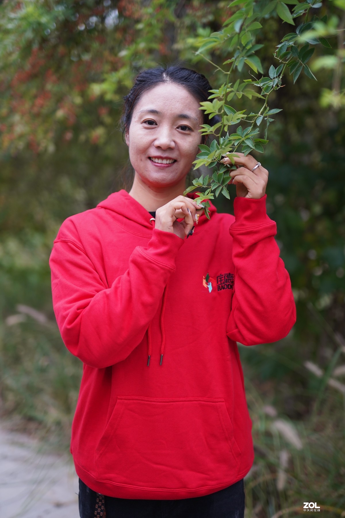 秋天早晨的遐思--2019年