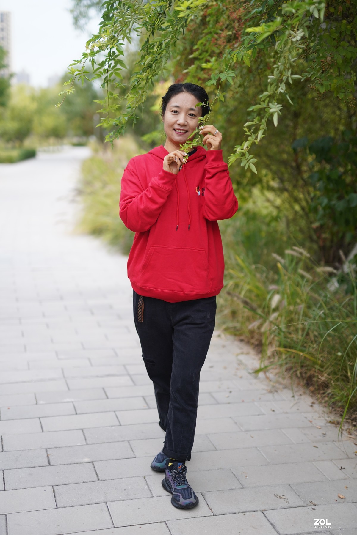 秋天早晨的遐思--2019年