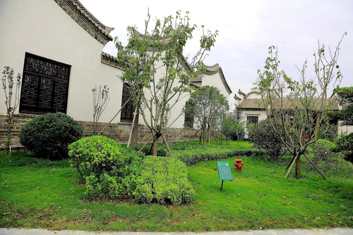 赵君武摄；青岛西海 唐岛湾【中国院子】