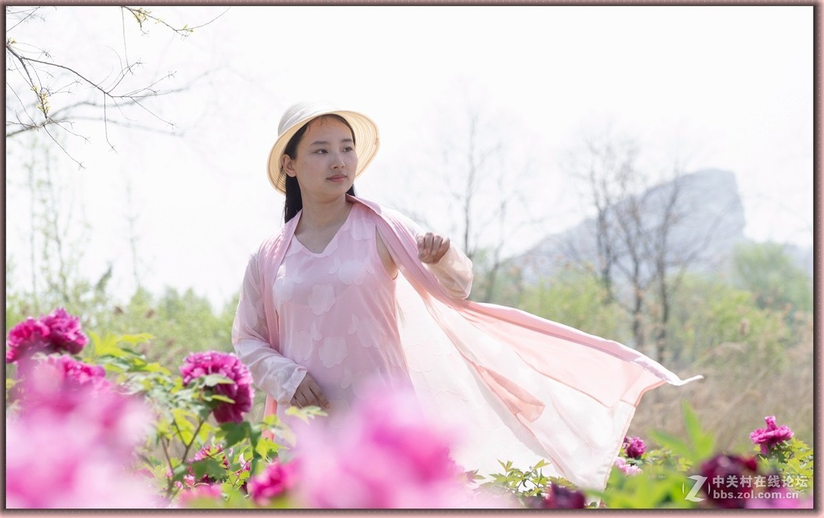 牡丹花中的小萌妹