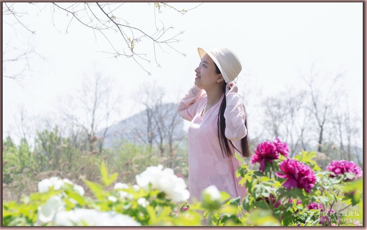 牡丹花中的小萌妹