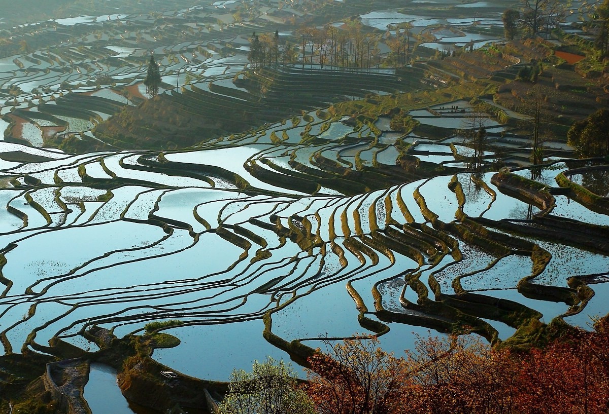 愿大地雕塑永存人间
