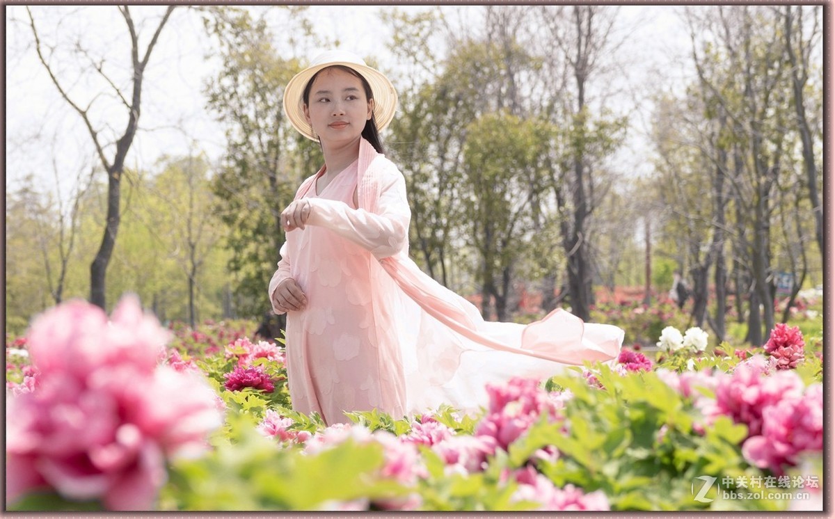 牡丹花中的小萌妹