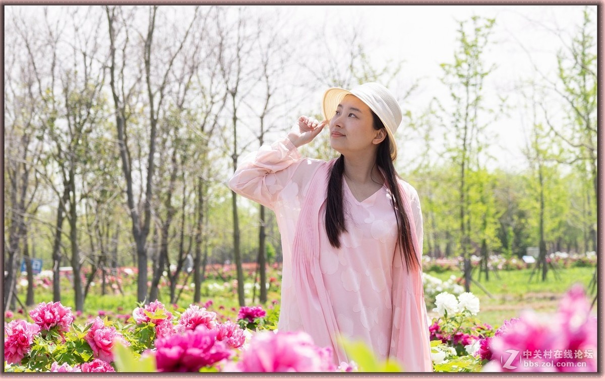 牡丹花中的小萌妹