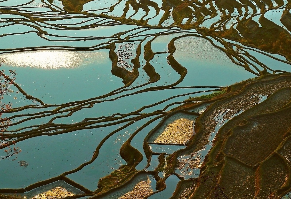 愿大地雕塑永存人间