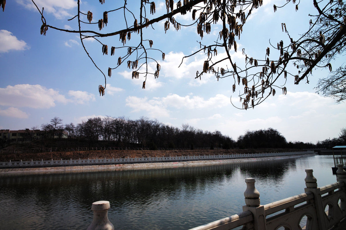 记录，【美丽家乡】8