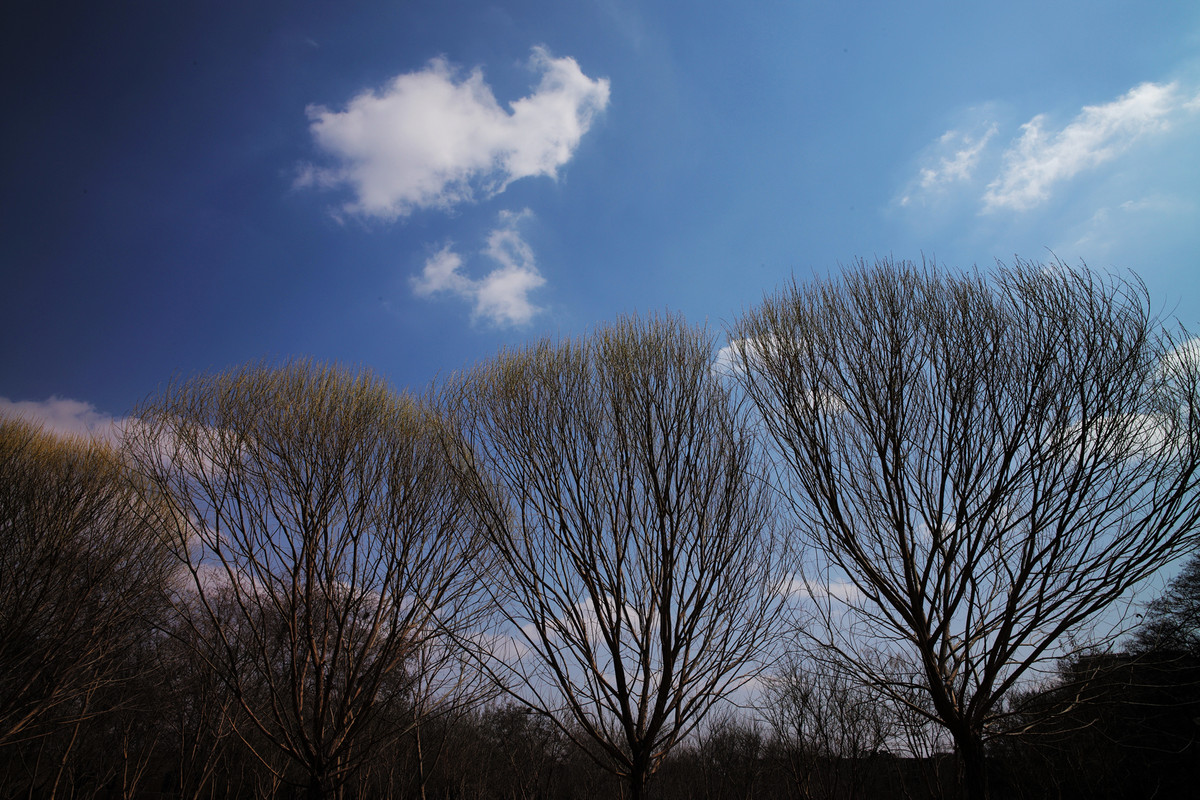 记录，【美丽家乡】8