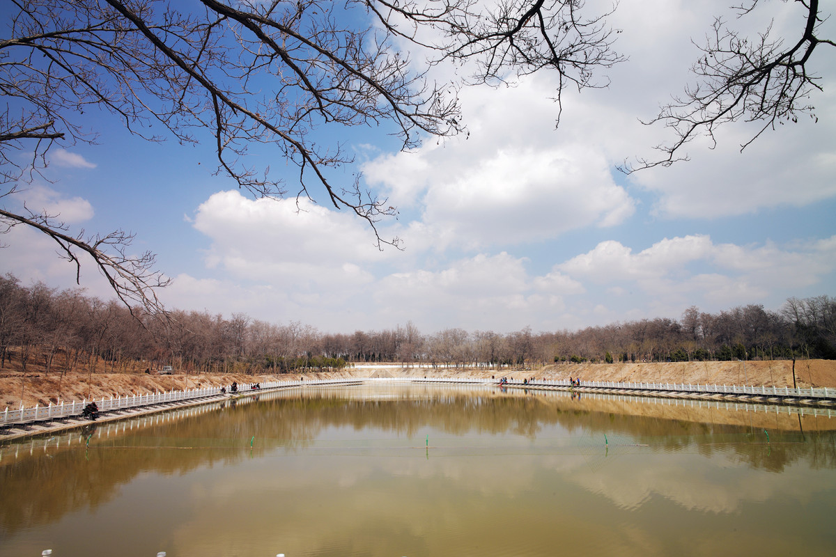 记录，【美丽家乡】8