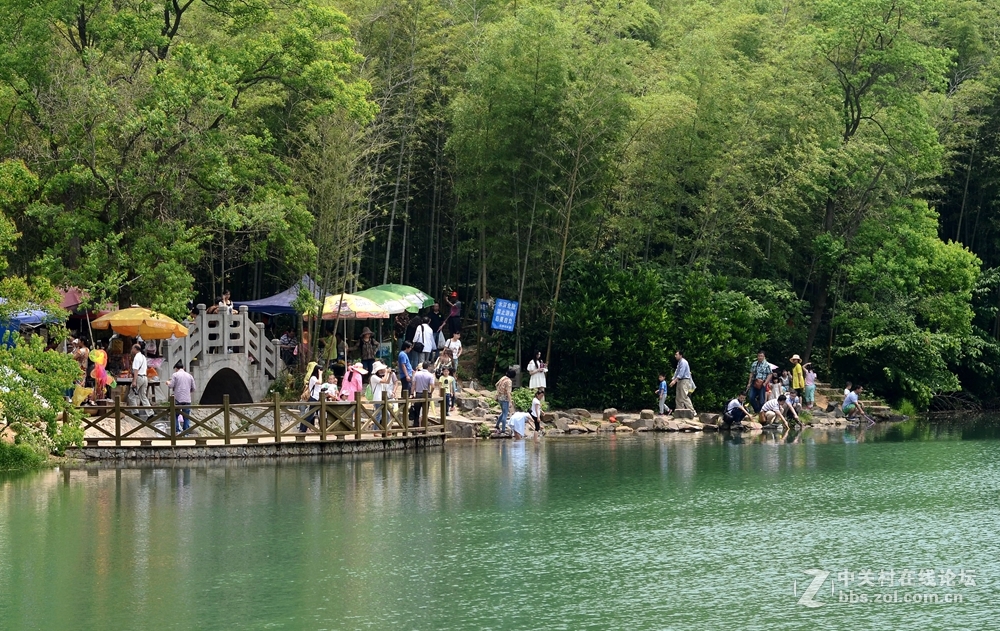 夏初石塘竹海