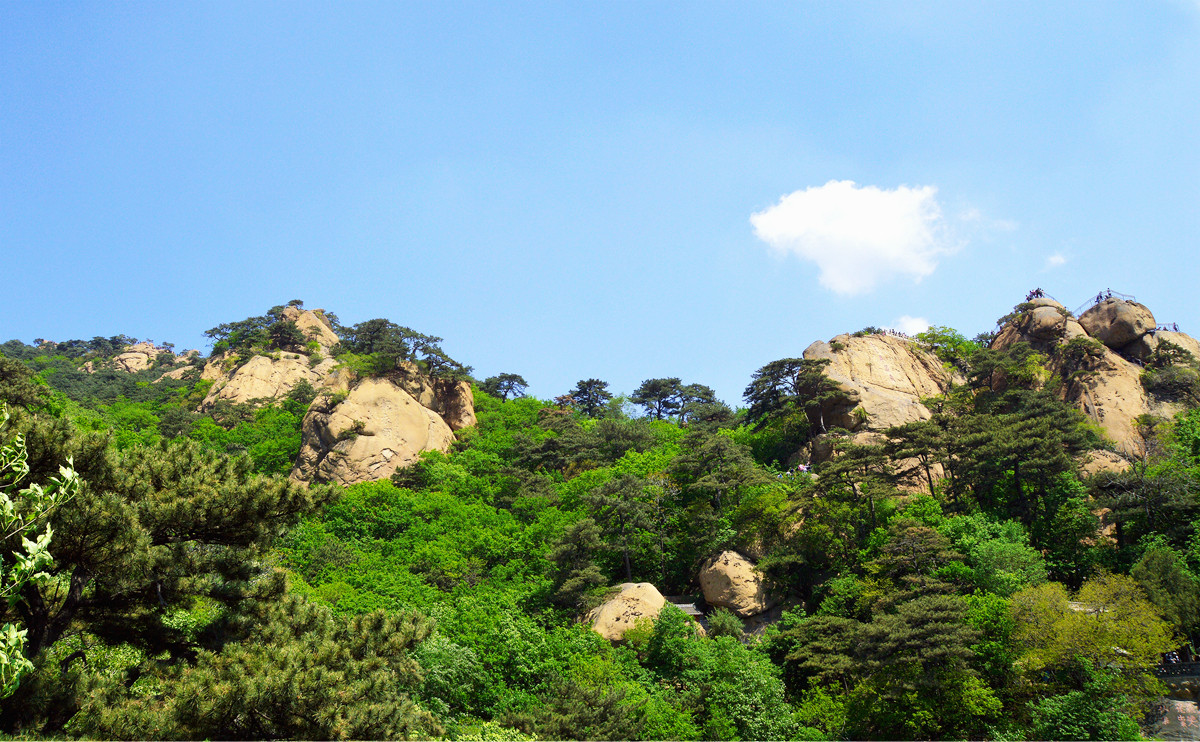致谢帖——《千山风光》